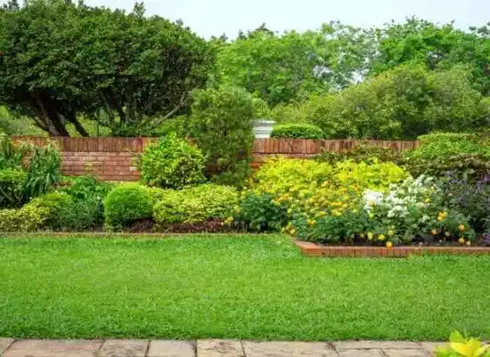 landscaping services Wilmore